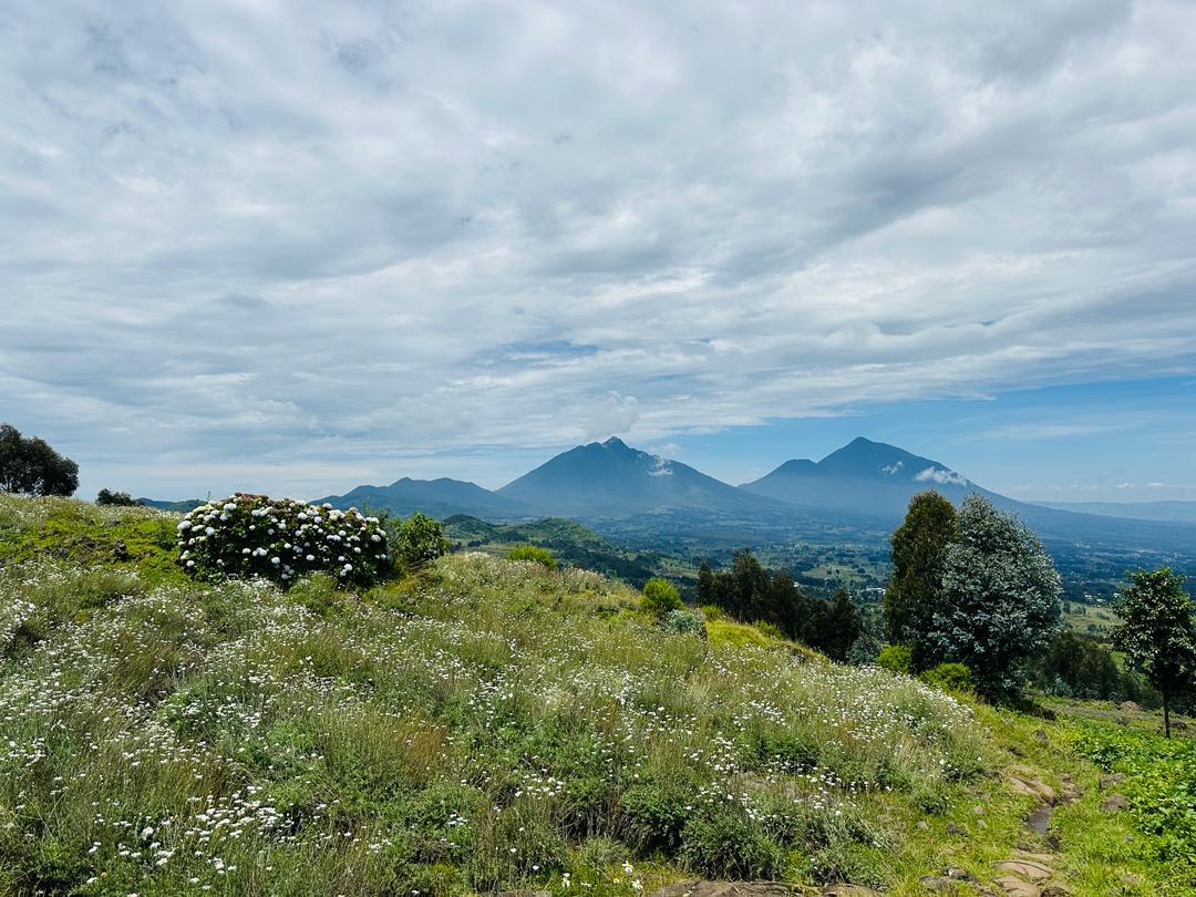 May - Porto, Portugal